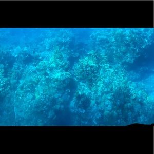 Meet your Posher, Mayra